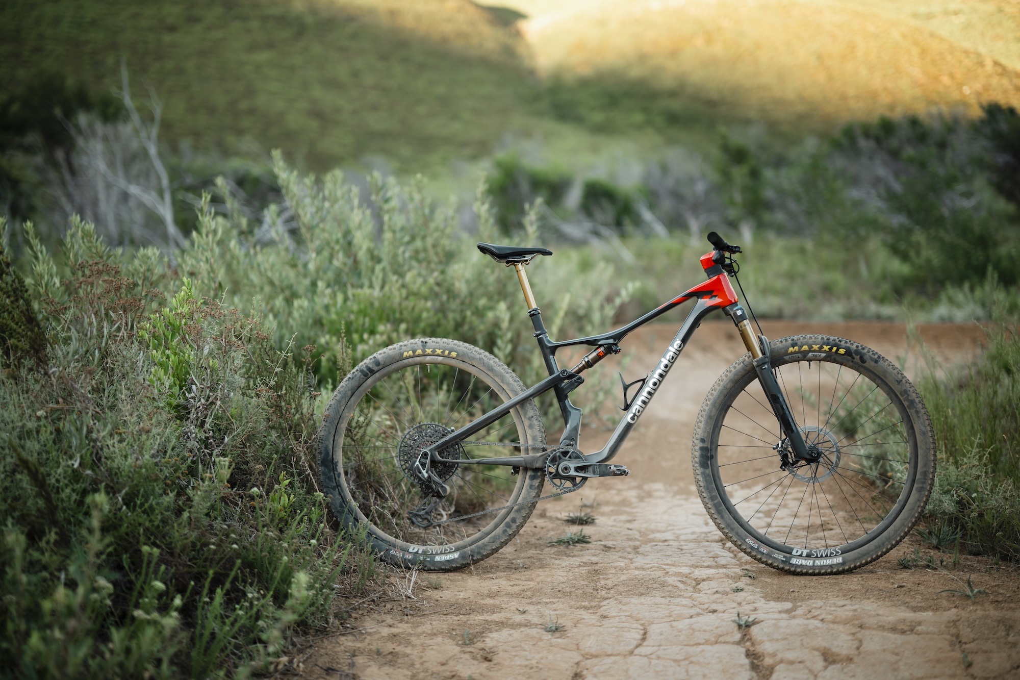 Zack Henderson reviews the Cannondale Scalpel