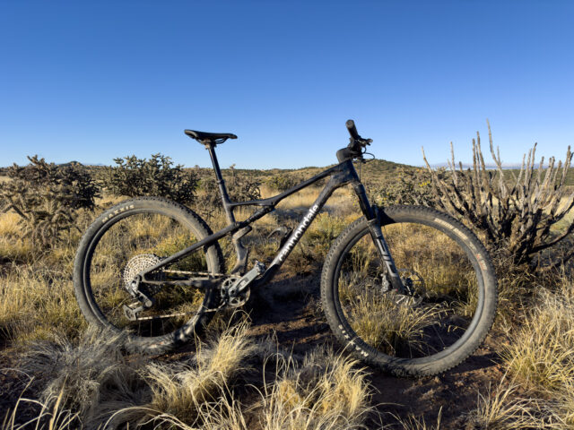 Simon Stewart and Dylan Wood review the Cannondale Scalpel for Blister