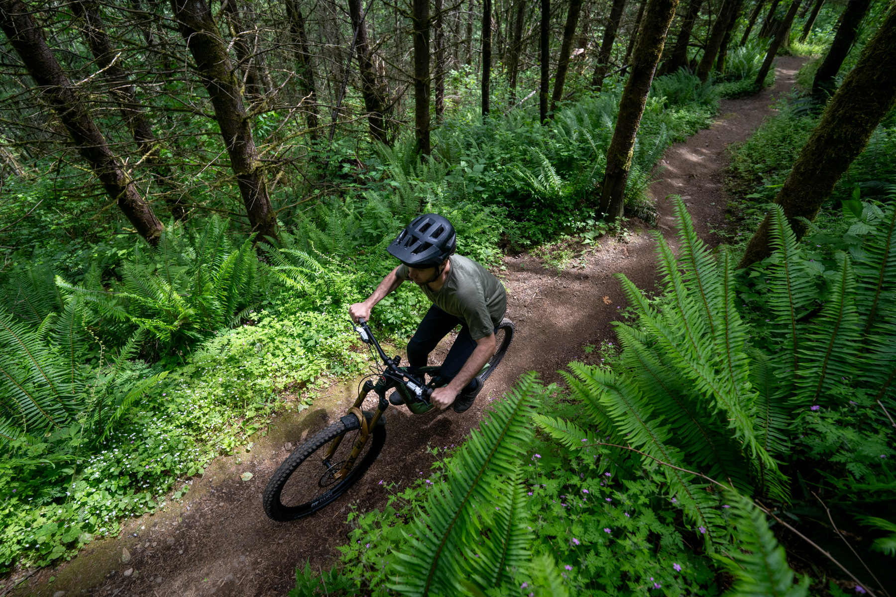 David Golay reviews the Rocky Mountain Altitude for Blister