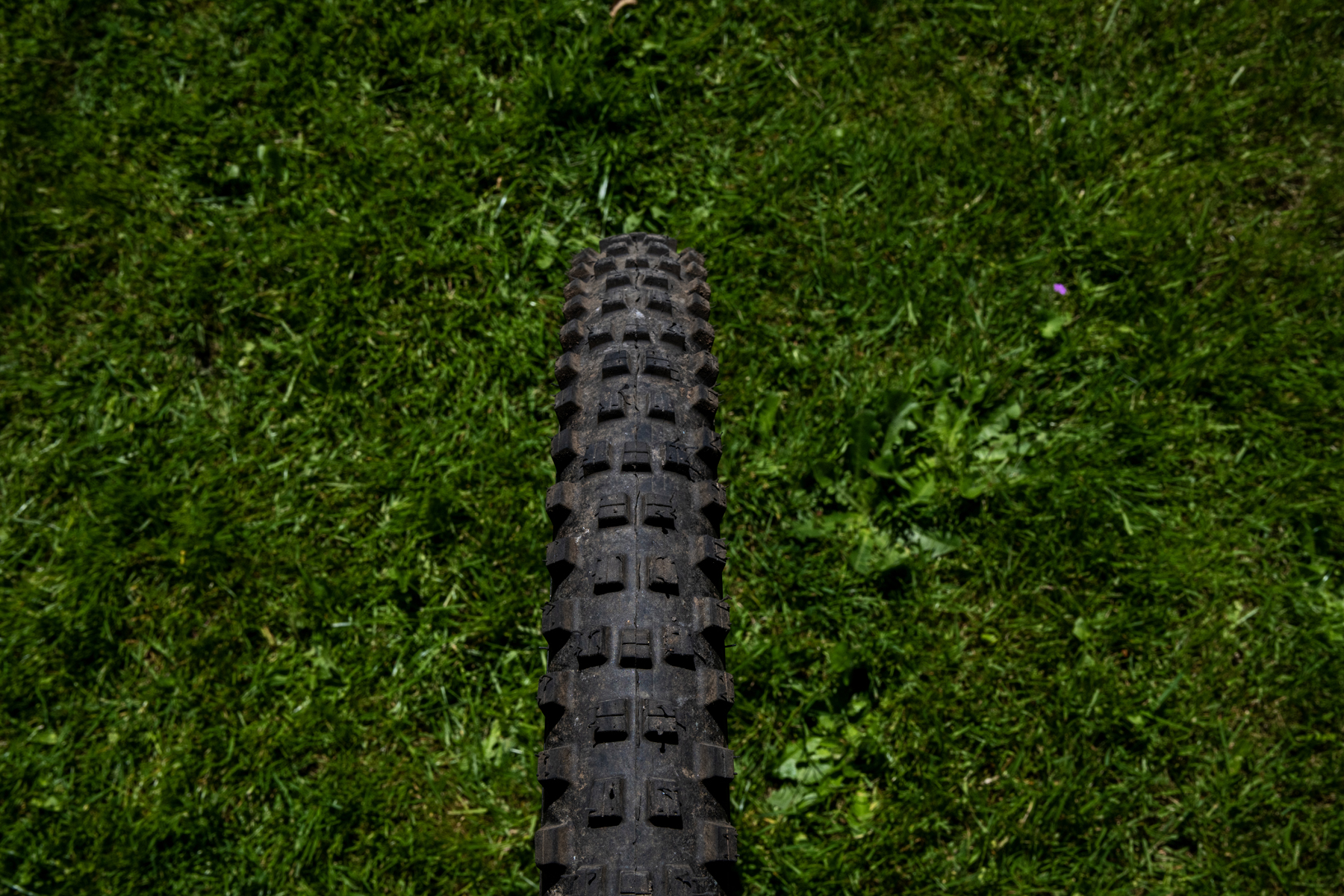 David Golay reviews the new Michelin Enduro and DH tires for Blister