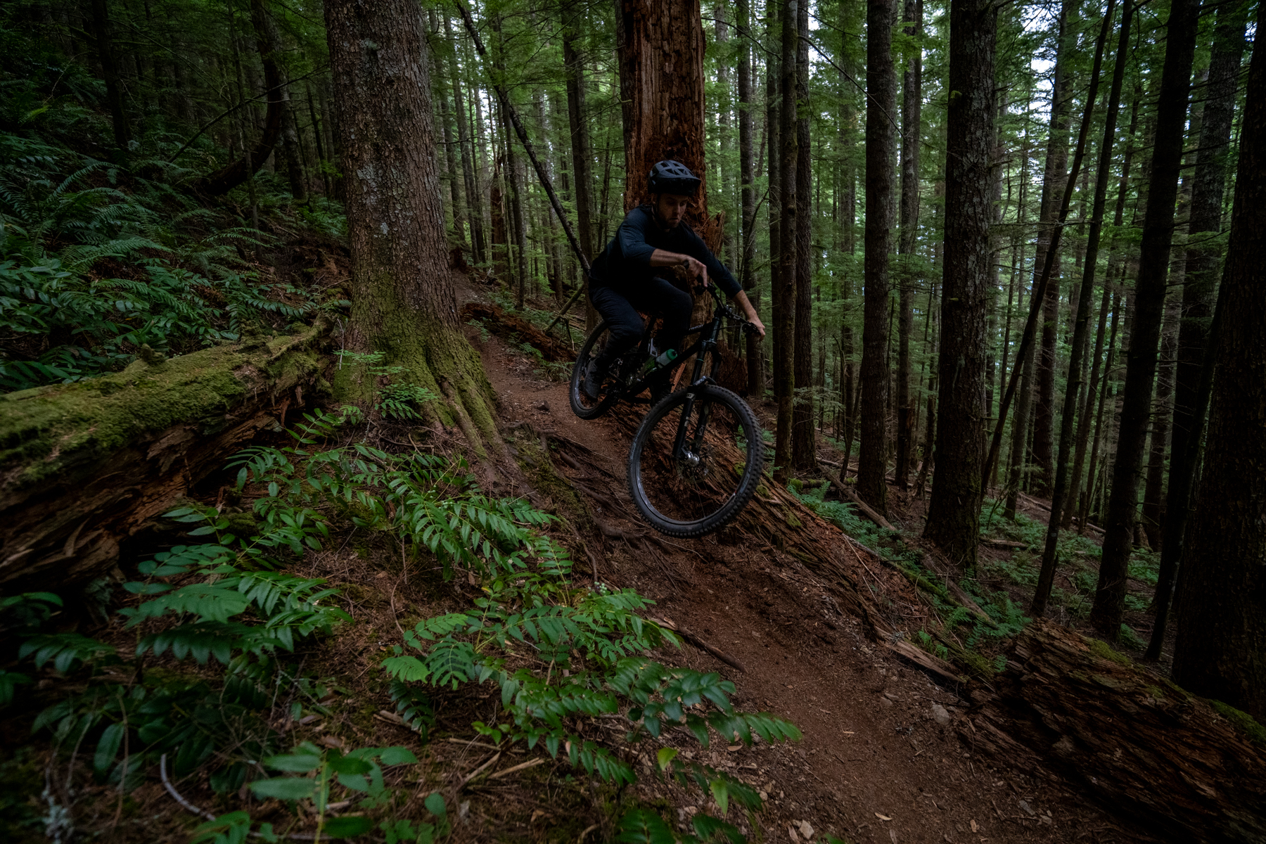 David Golay and Zack Henderson review Michelin's Wild Enduro and DH tire lineup for Blister