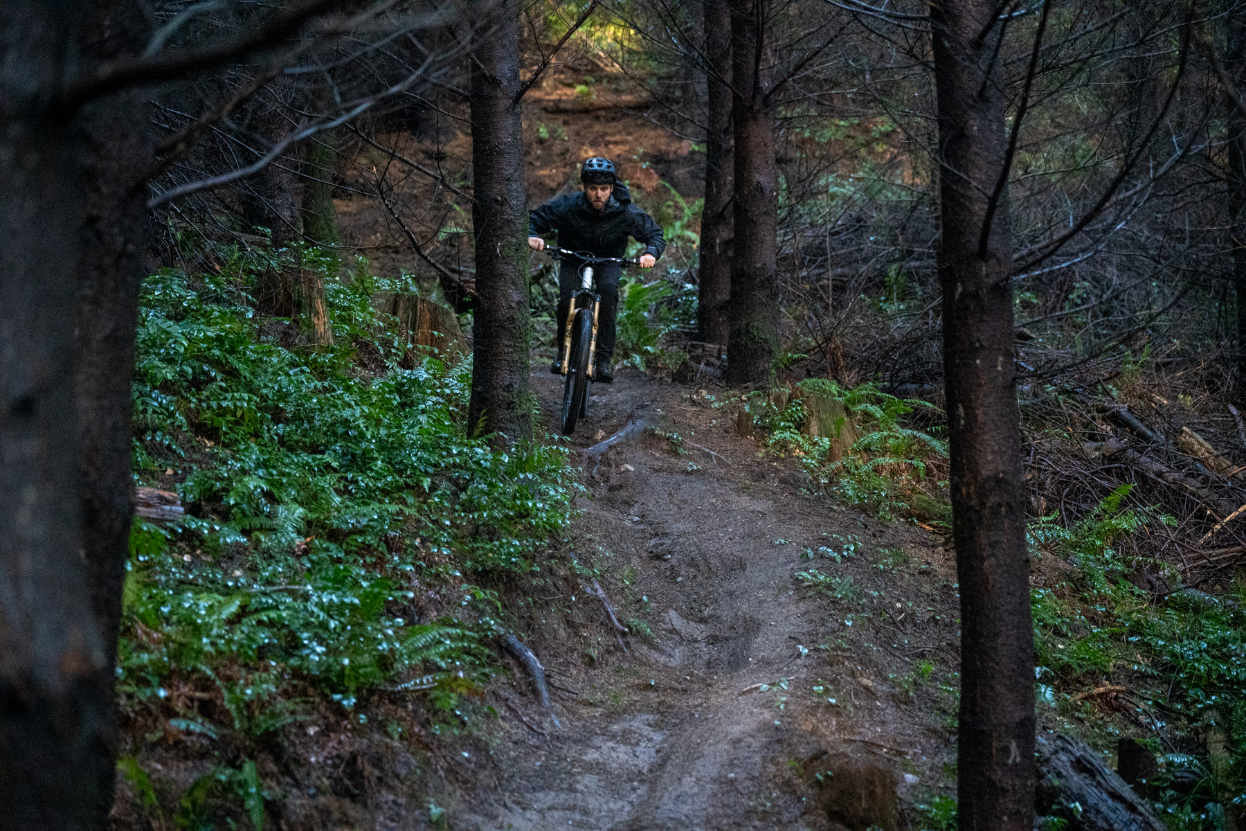 David Golay reviews the Geometron G1 for Blister