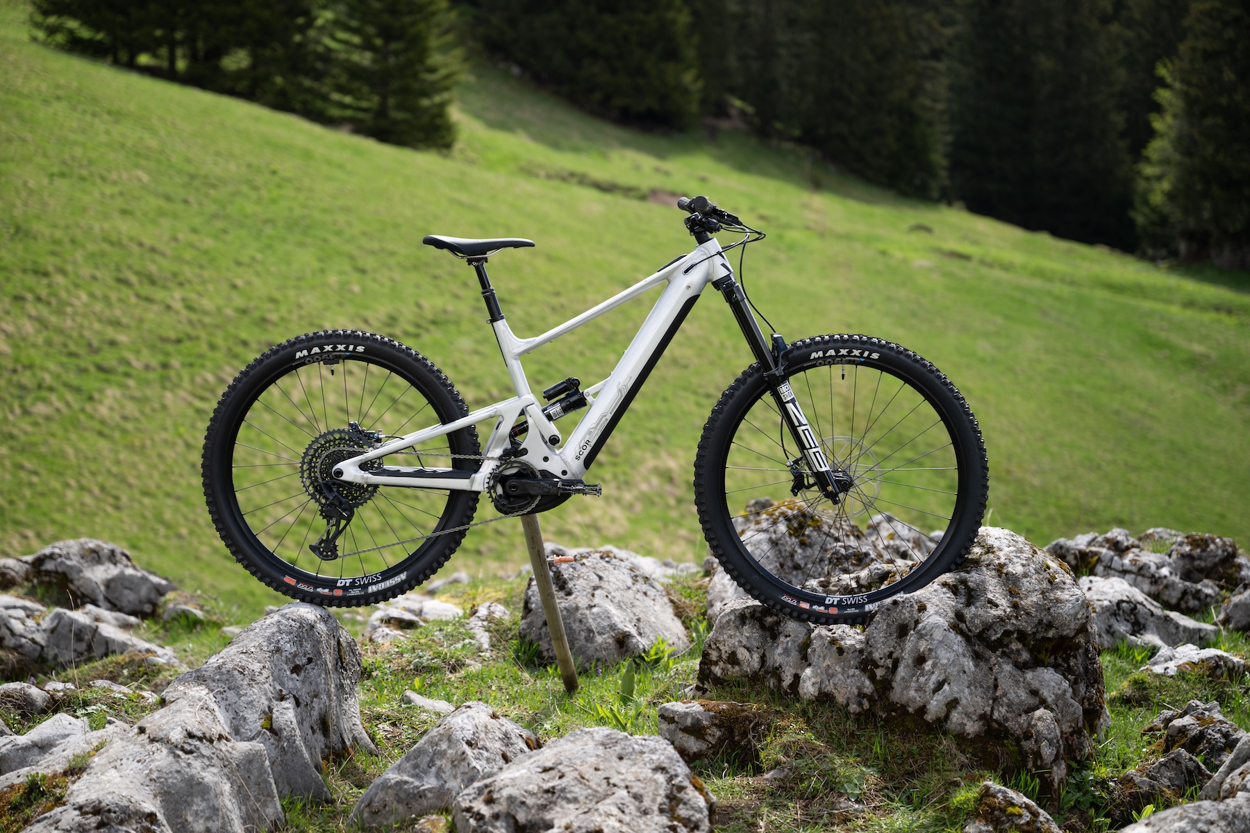 SCOR 6080 Z | Blister