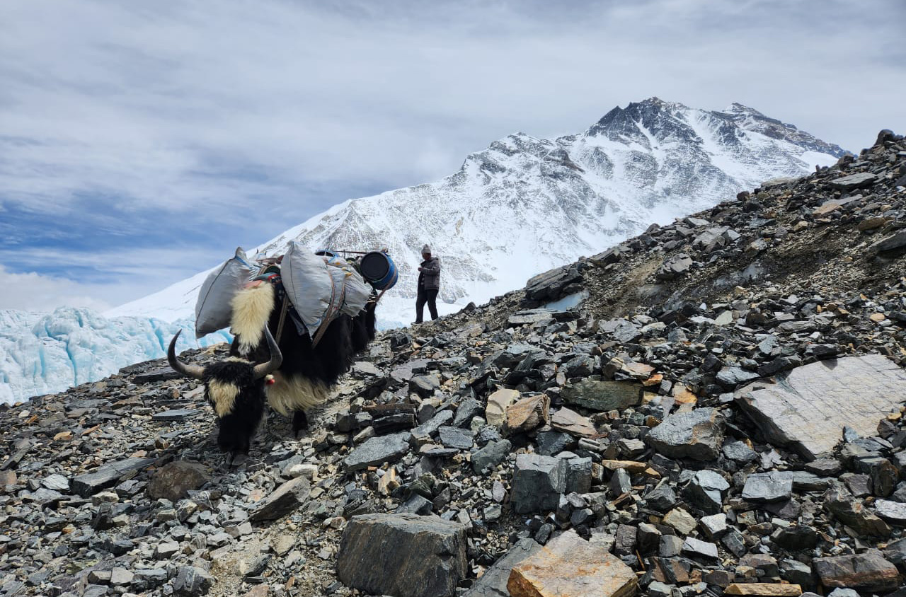 On Blister Podcast ep. 313, We talk with Adrian Ballinger about the multiple sides of Everest, the many different ways to approach it, the culture of high-altitude mountaineering, and more.