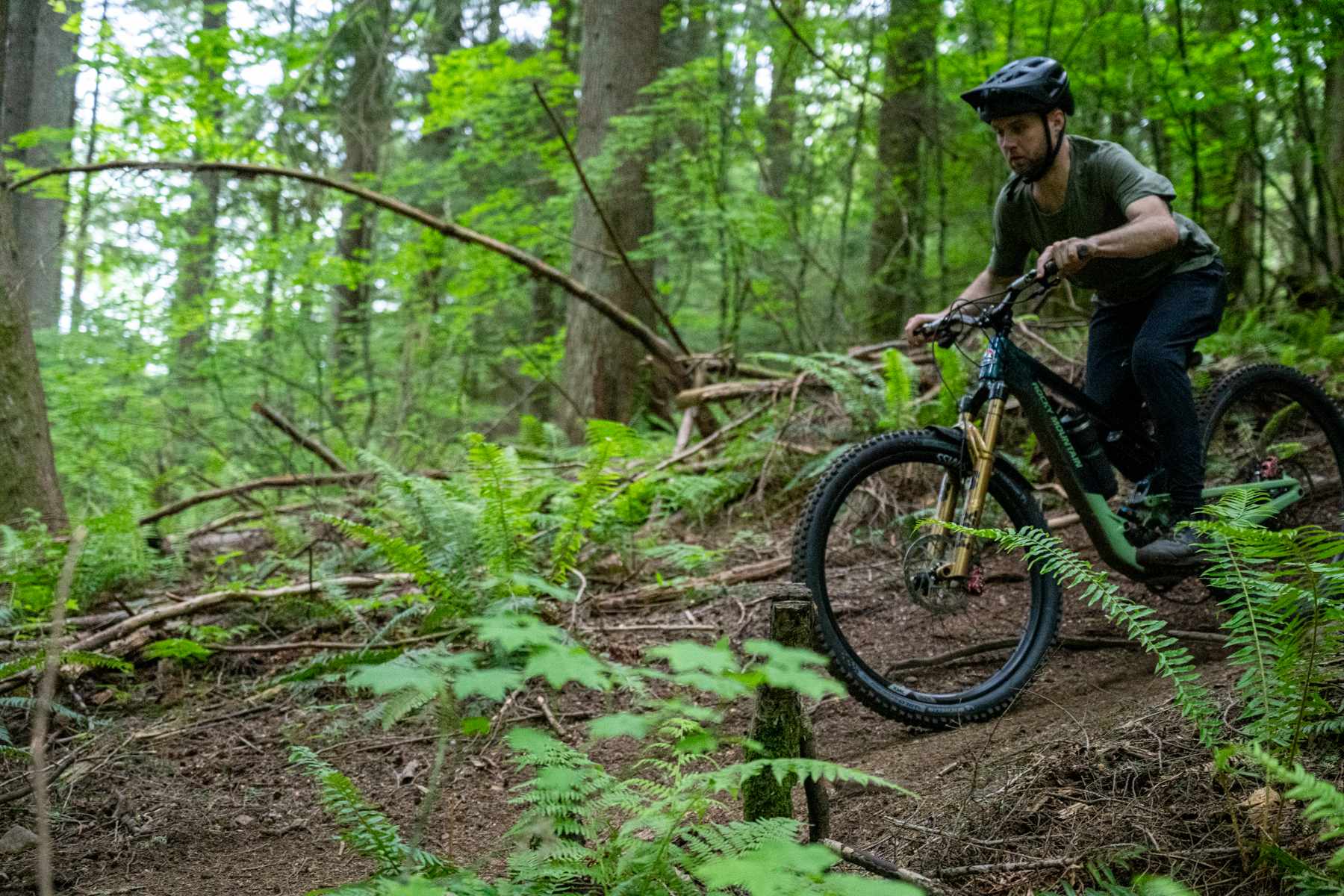 Reviewer Reports: Specialized Epic Evo to the RAAW Madonna, Lots of Tires, & More (Ep.228)