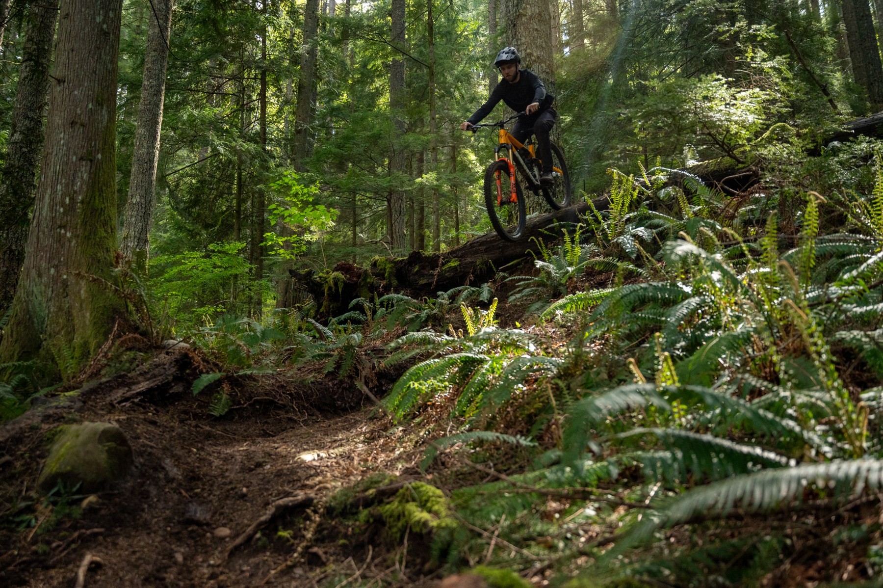David Golay reviews the 2024 Norco Sight for Blister