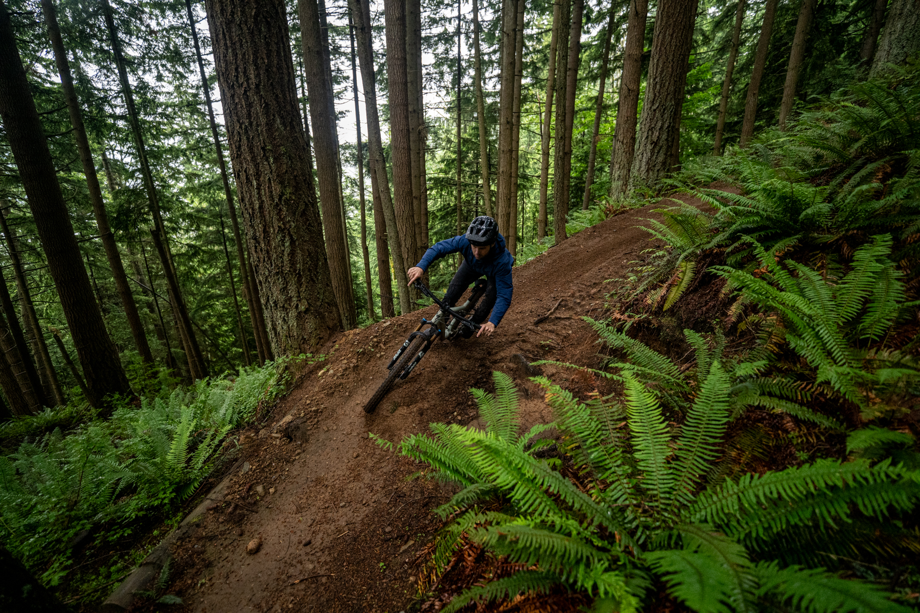 David Golay and Zack Henderson review the Specialized Epic Evo for Blister