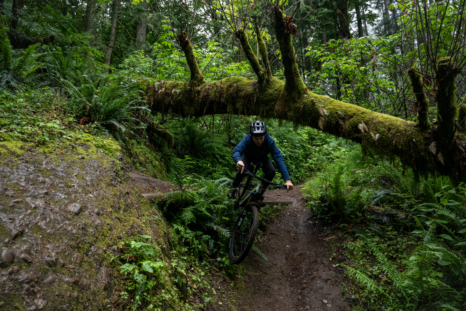 David Golay and Zack Henderson review the Specialized Epic Evo for Blister