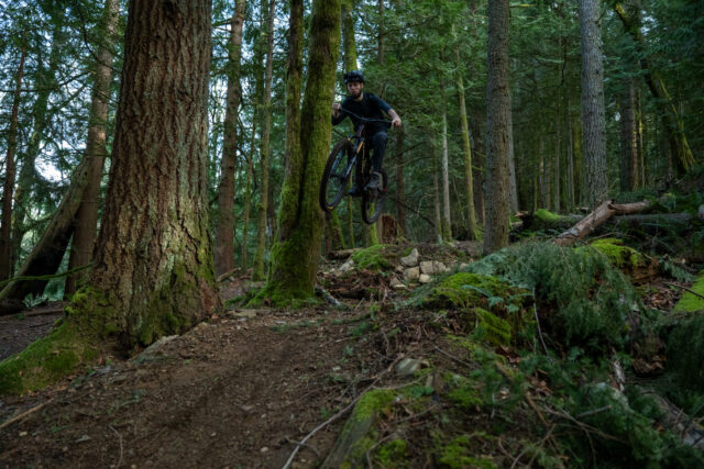 David Golay reviews the Santa Cruz Bronson