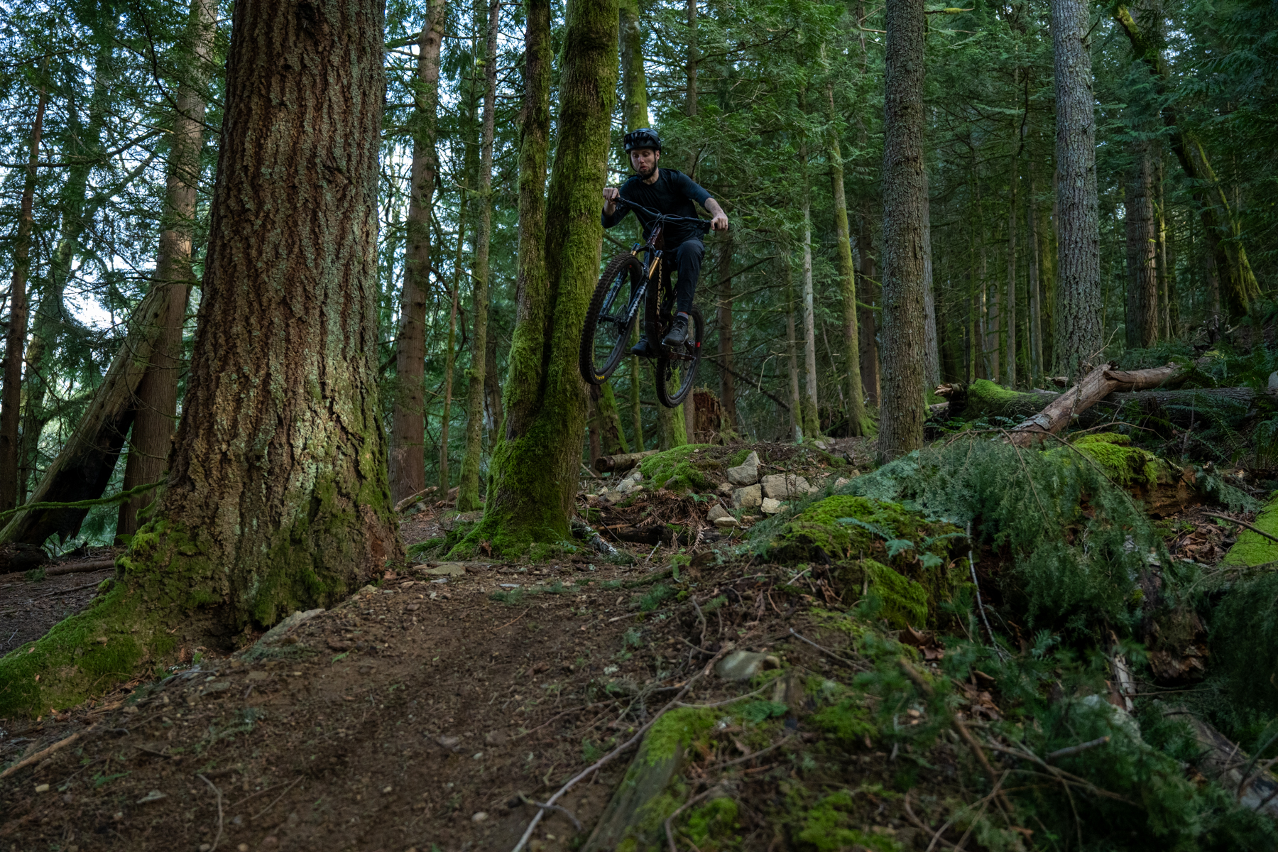 David Golay reviews the Santa Cruz Bronson