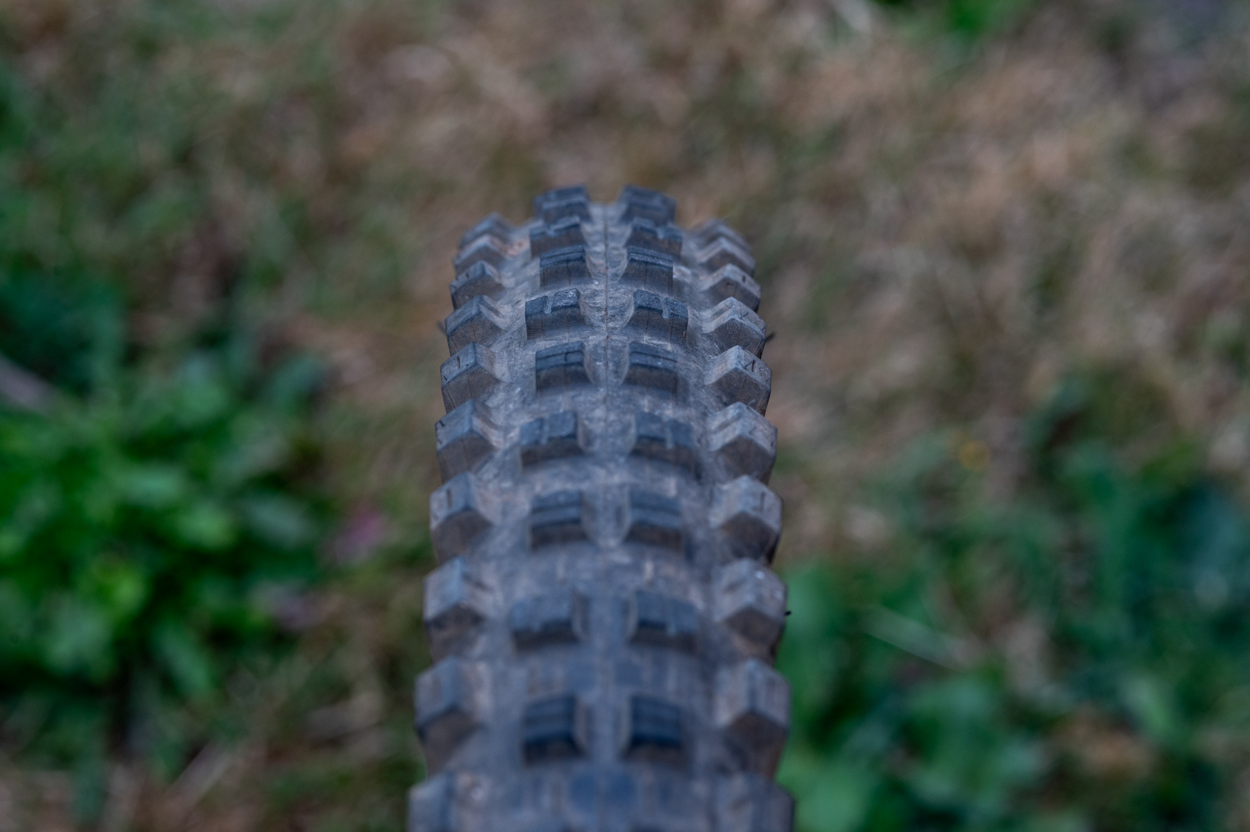 David Golay reviews the Maxxis High Roller for Blister