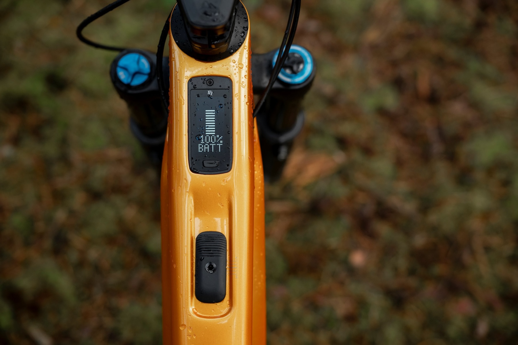 Blister reviews the Canyon Spectral:ONfly