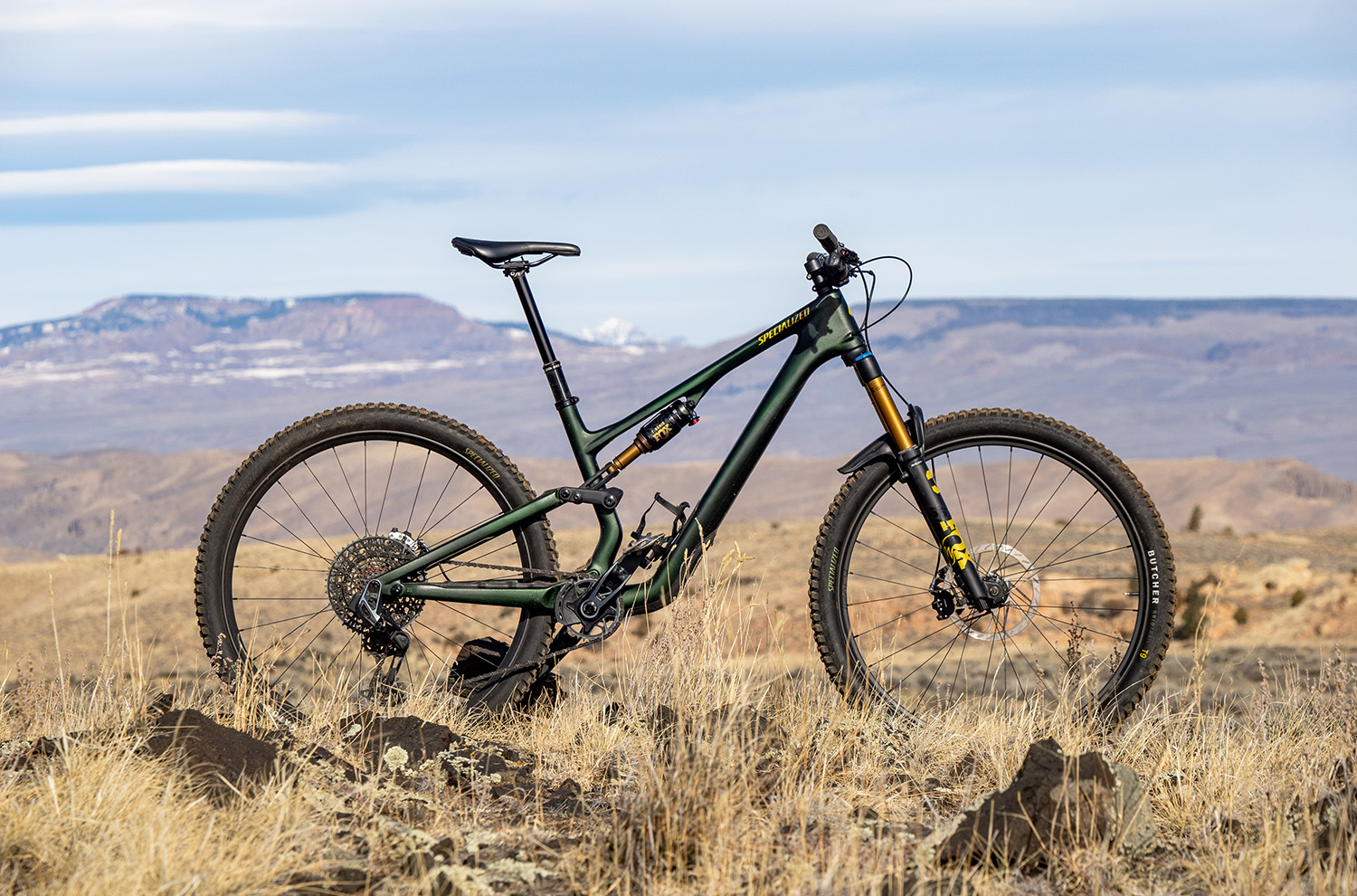 Specialized Stumpjumper 15