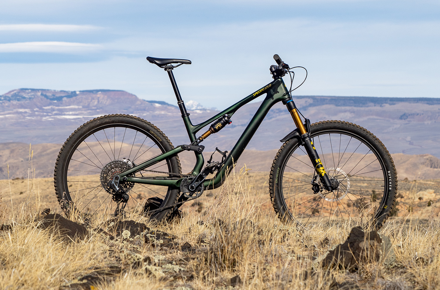 Specialized Stumpjumper 15 | Blister