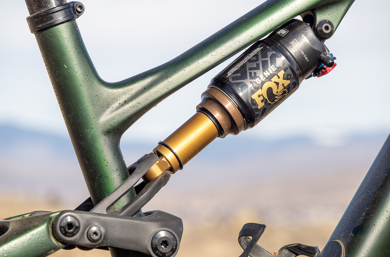 Specialized Stumpjumper 15