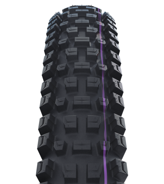 David Golay reviews the Schwalbe Radial Tire Casings + New Albert & Shredda Tires for Blister