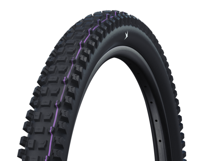 David Golay reviews the Schwalbe Radial Tire Casings + New Albert & Shredda Tires for Blister