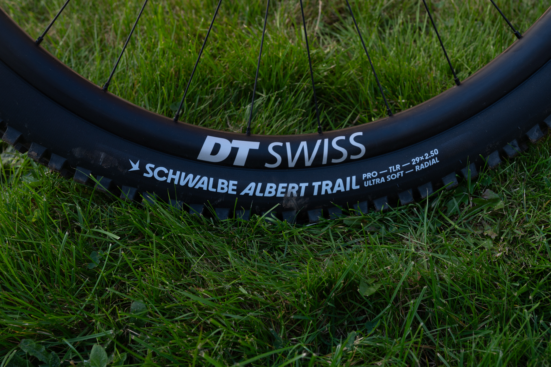 David Golay reviews the Schwalbe Radial Tire Casings + New Albert & Shredda Tires for Blister