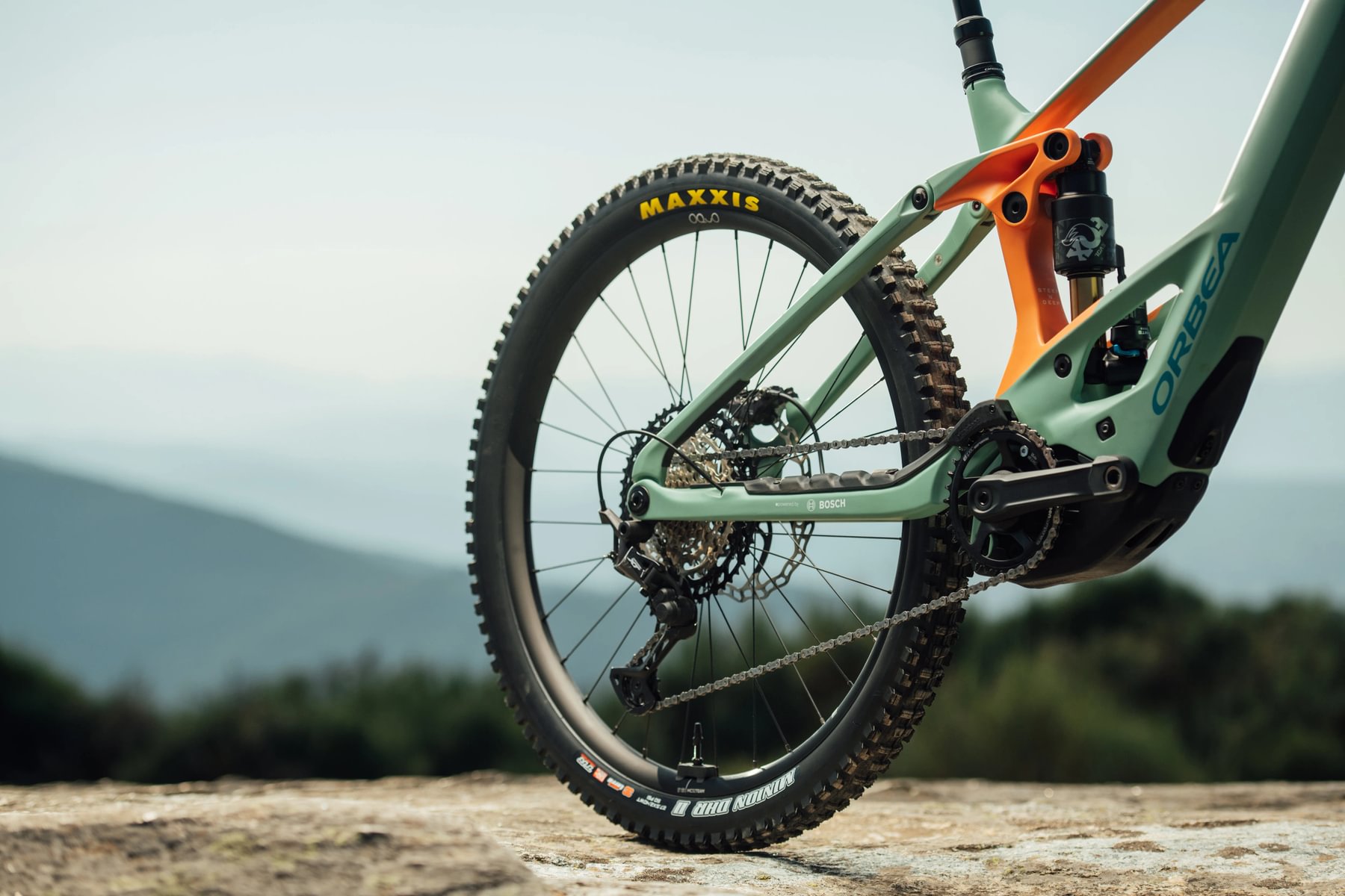 Blister reviews the 2025 Orbea Wild