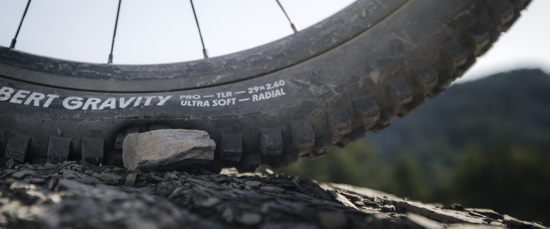 David Golay reviews the Schwalbe Radial Tire Casings + New Albert & Shredda Tires for Blister