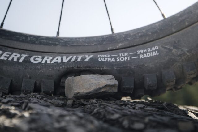 David Golay reviews the Schwalbe Radial Tire Casings + New Albert & Shredda Tires for Blister