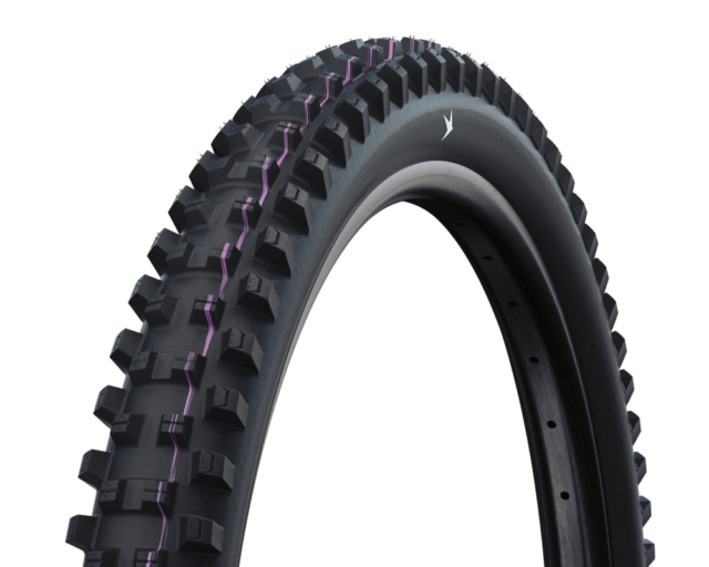 David Golay reviews the Schwalbe Radial Tire Casings + New Albert & Shredda Tires for Blister