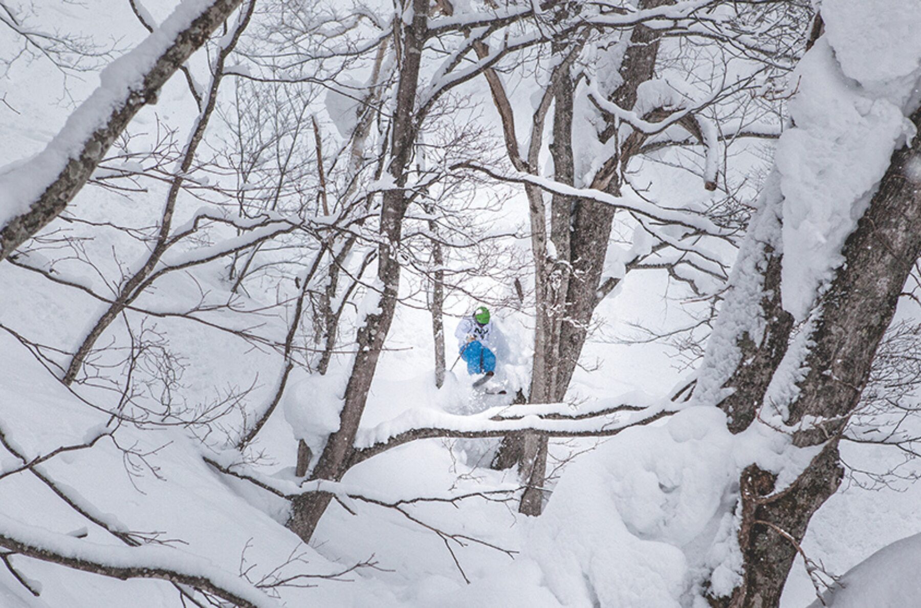 Powder Ski Comparisons: Old vs New vs What Should Be Next? (Ep.320)