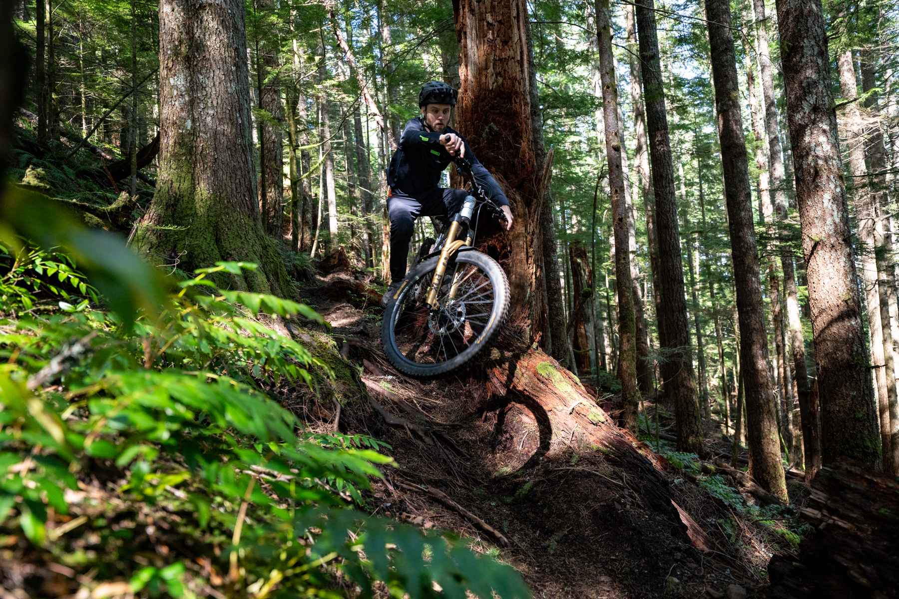 David Golay reviews the Vorsprung Telum for Blister