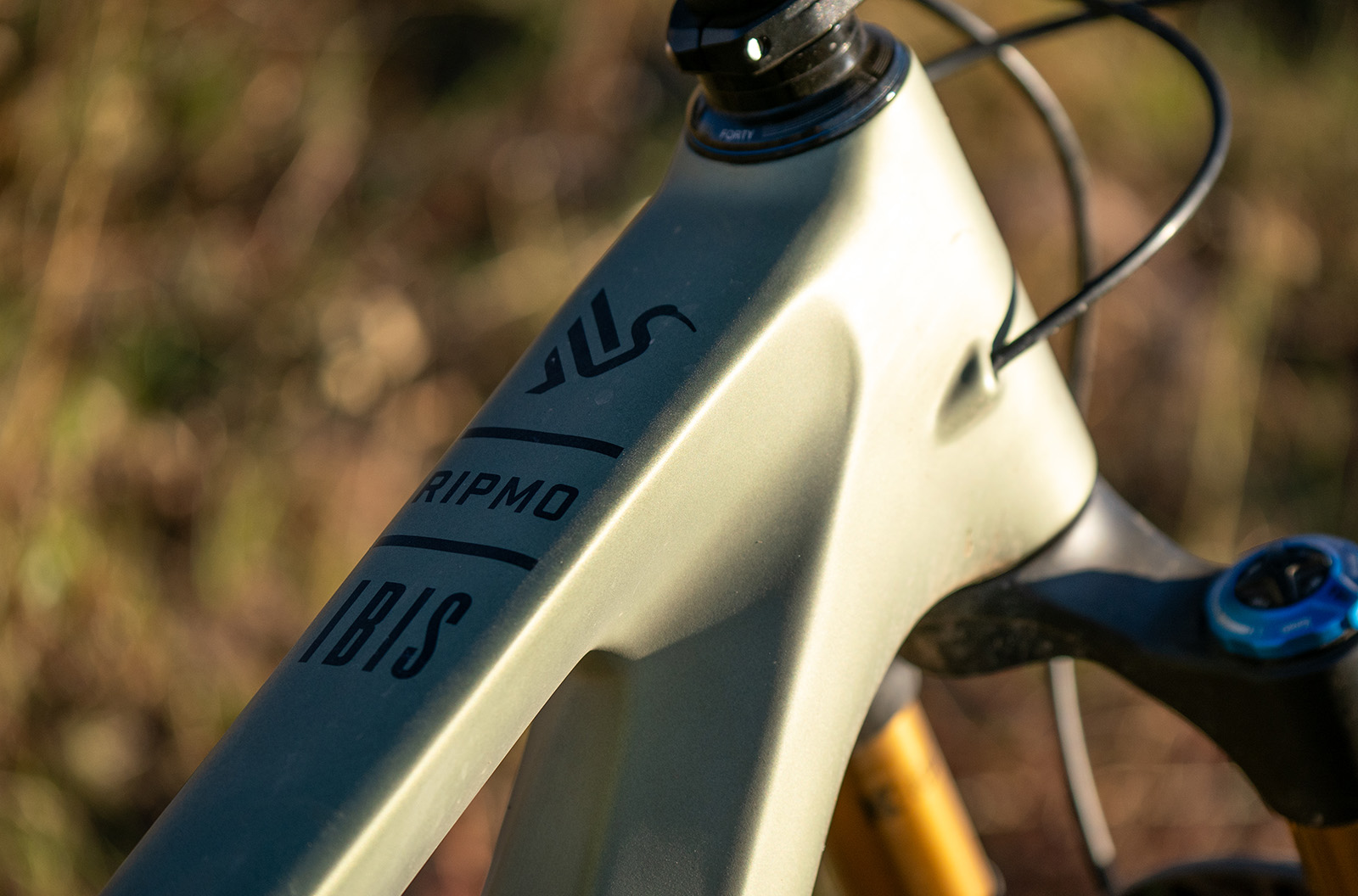 Ibis Ripmo V3 — Top Tube