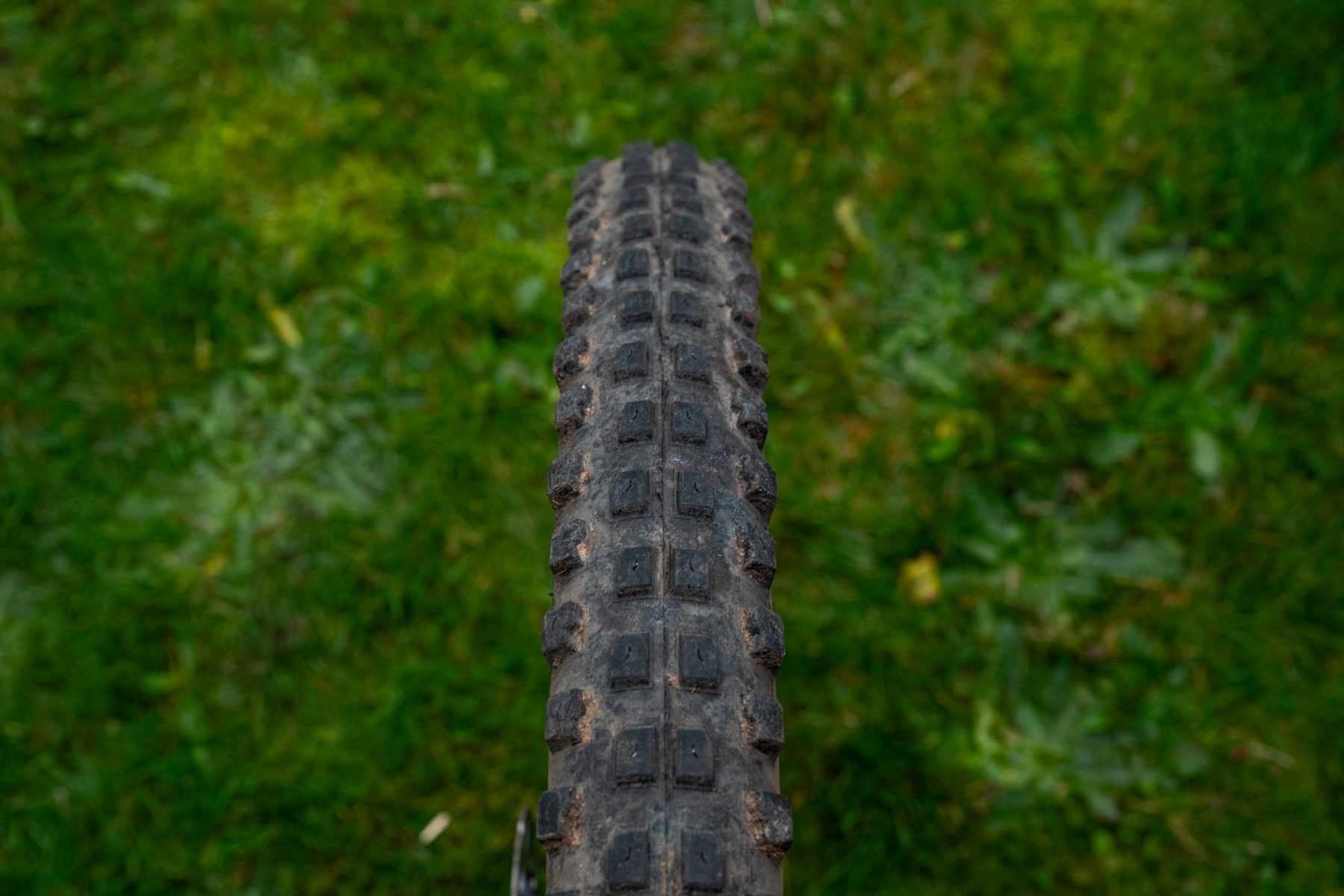 David Golay reviews the Delium Versatile and Rugged tires for BLISTER