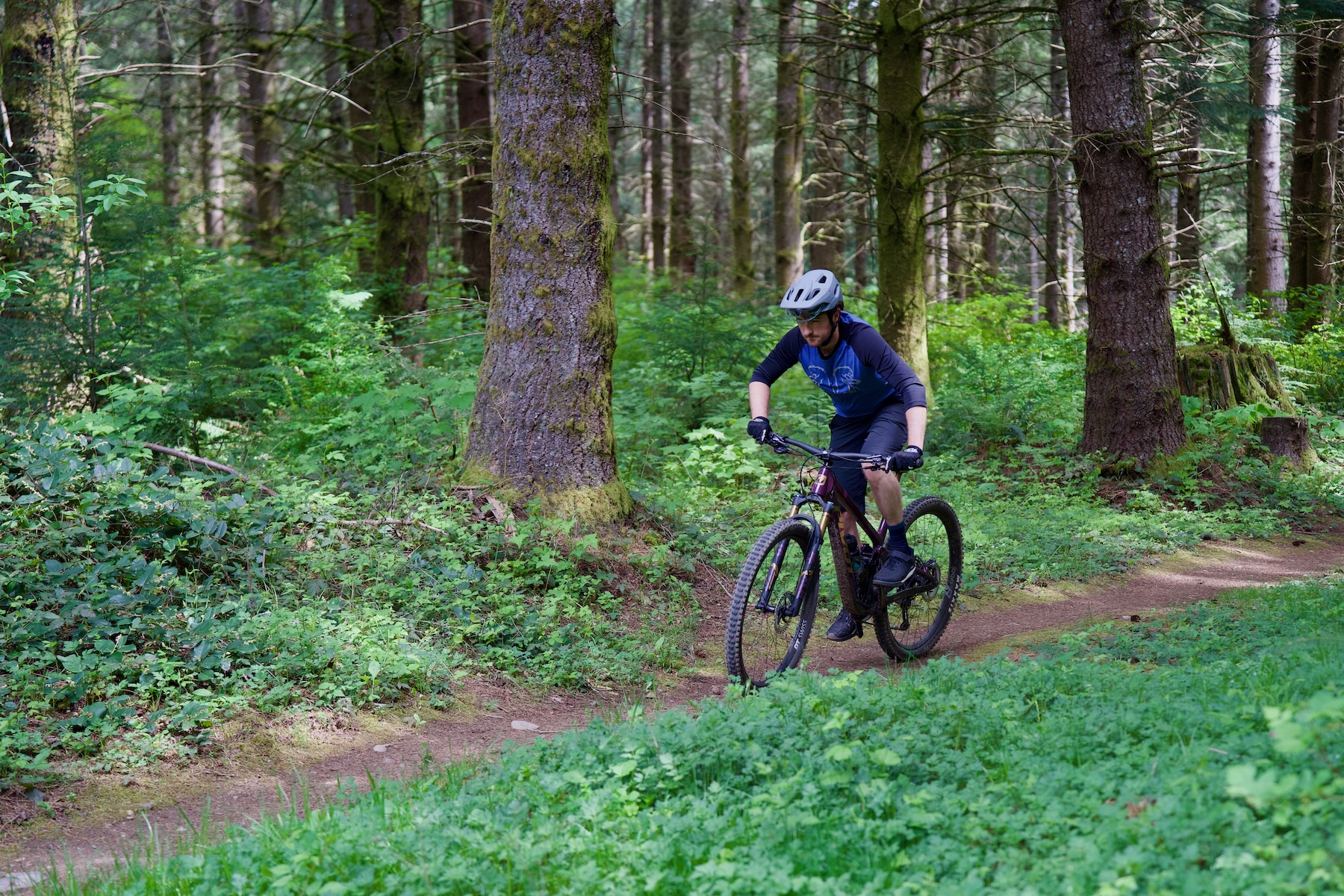 Zack Henderson reviews the Pivot Trailcat SL