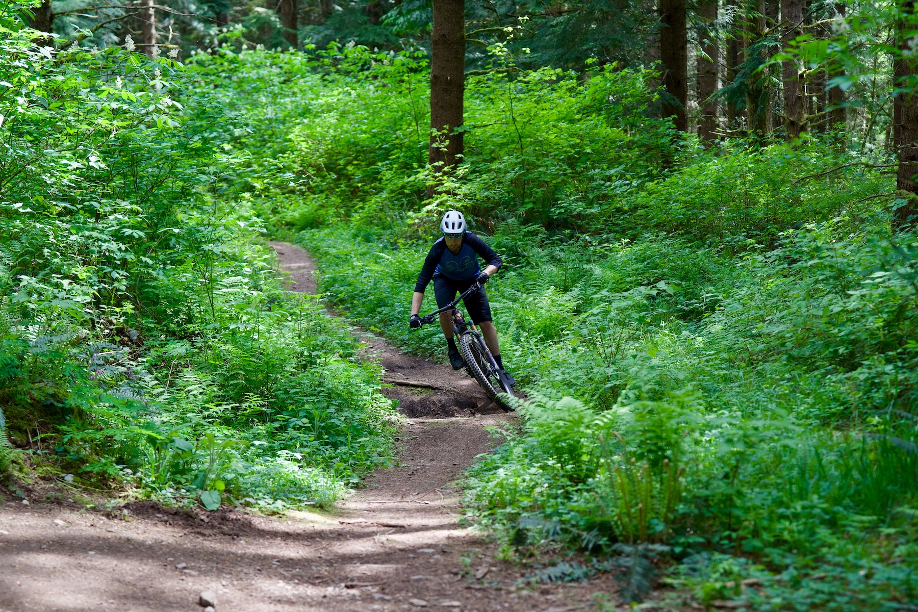 Zack Henderson reviews the Pivot Trailcat SL