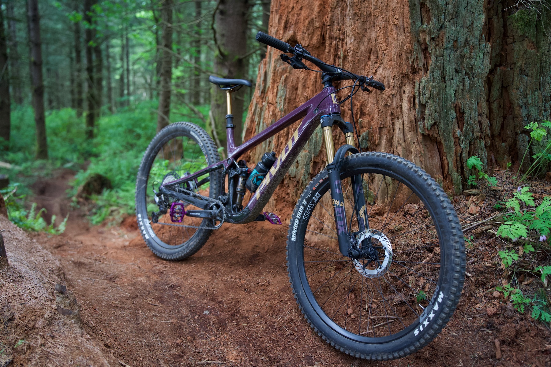 Zack Henderson reviews the Pivot Trailcat SL