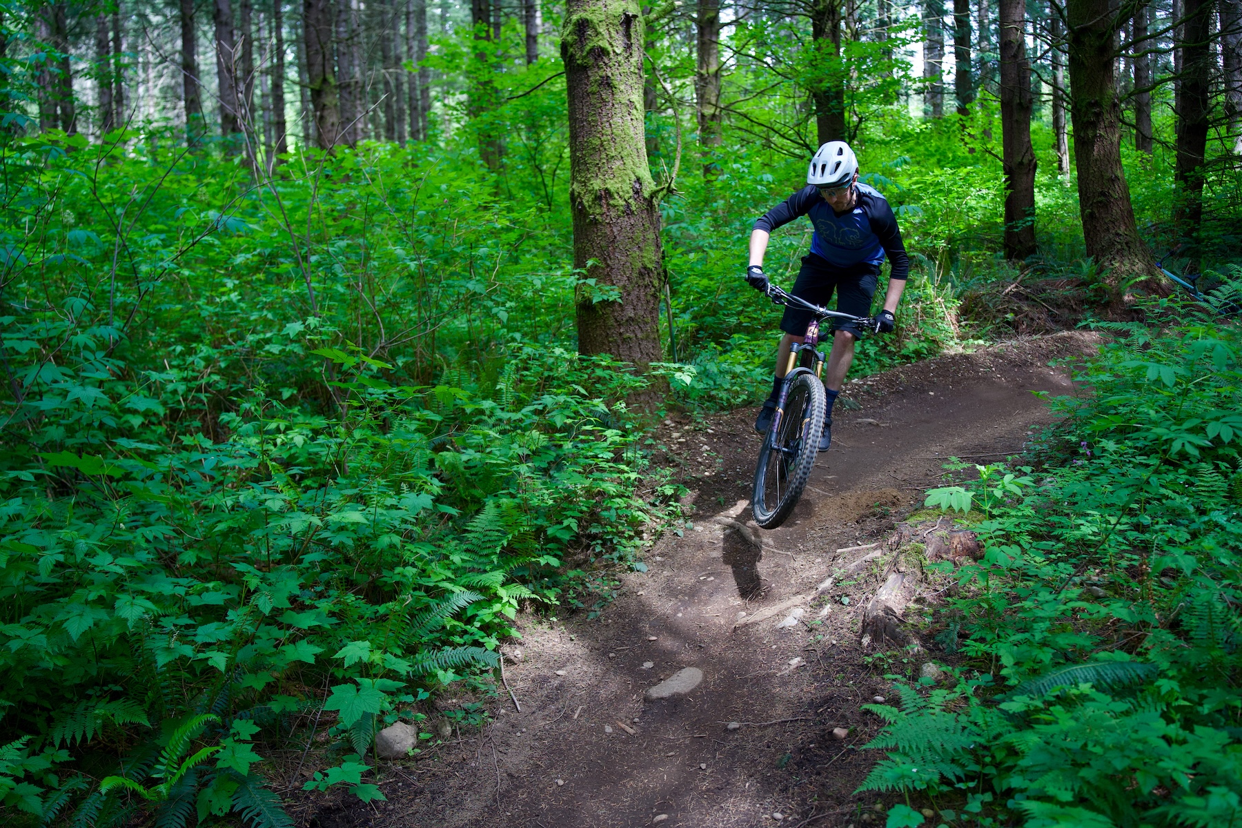 Zack Henderson reviews the Pivot Trailcat SL