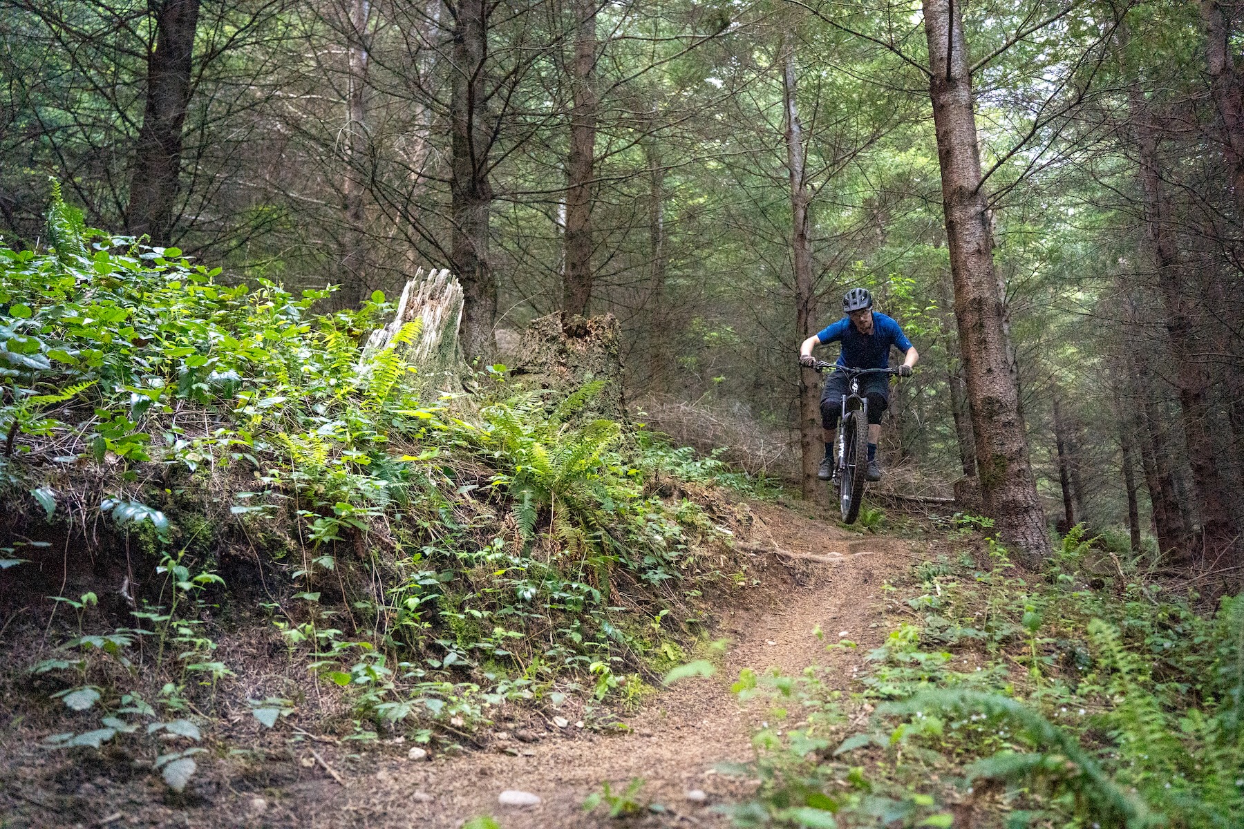 Zack Henderson reviews the Ibis Oso 1.1