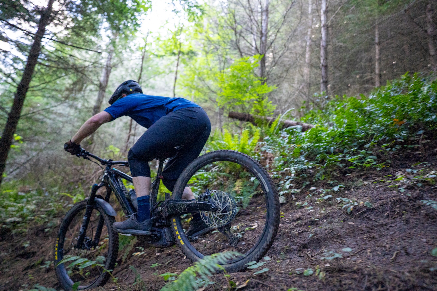 Zack Henderson reviews the Ibis Oso 1.1
