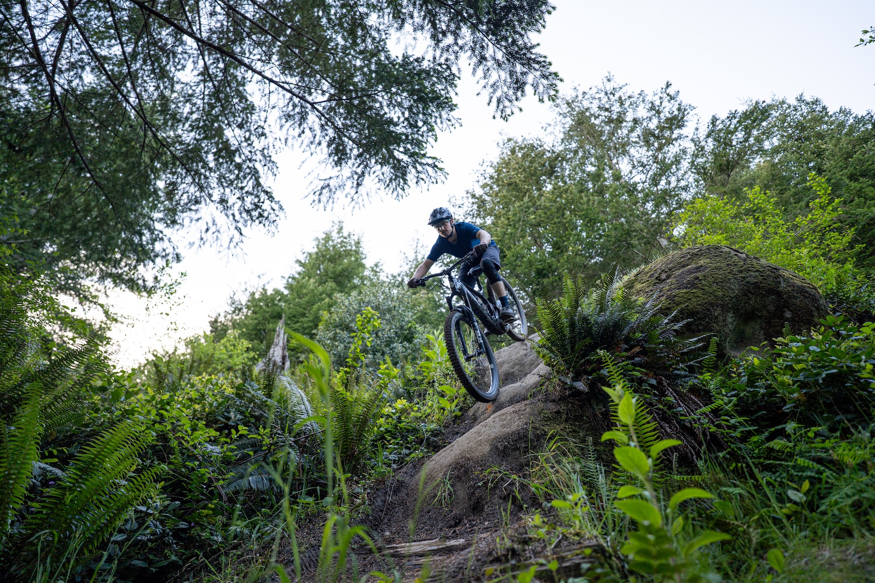 Zack Henderson reviews the Ibis Oso 1.1