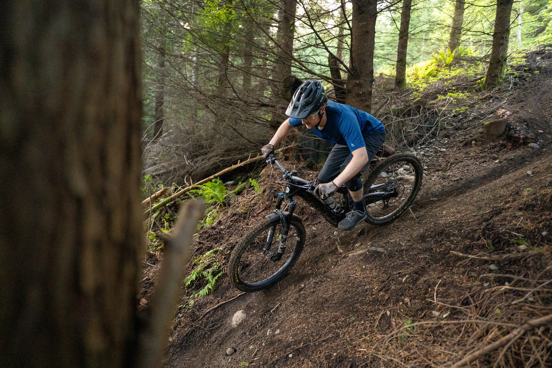 Zack Henderson reviews the Ibis Oso 1.1