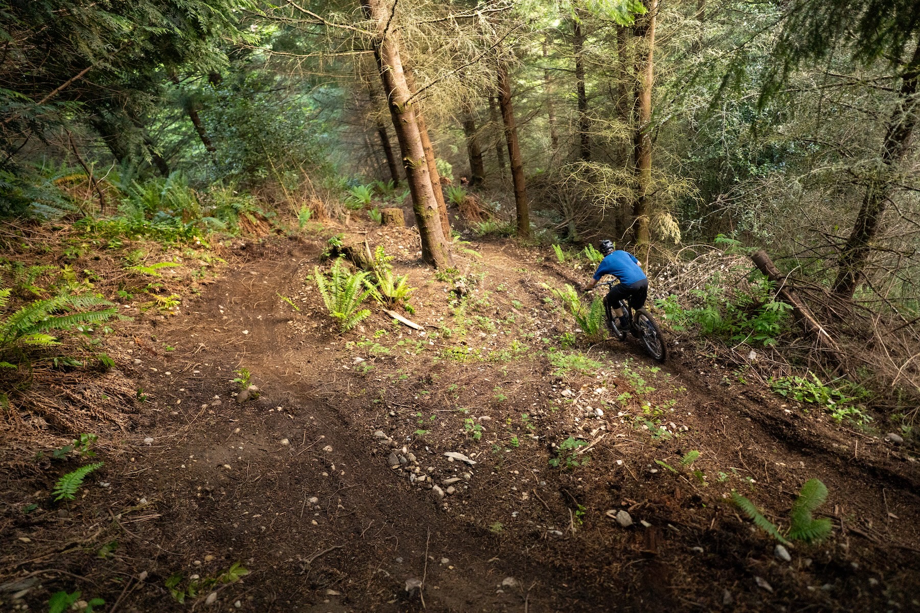 Zack Henderson reviews the Ibis Oso 1.1