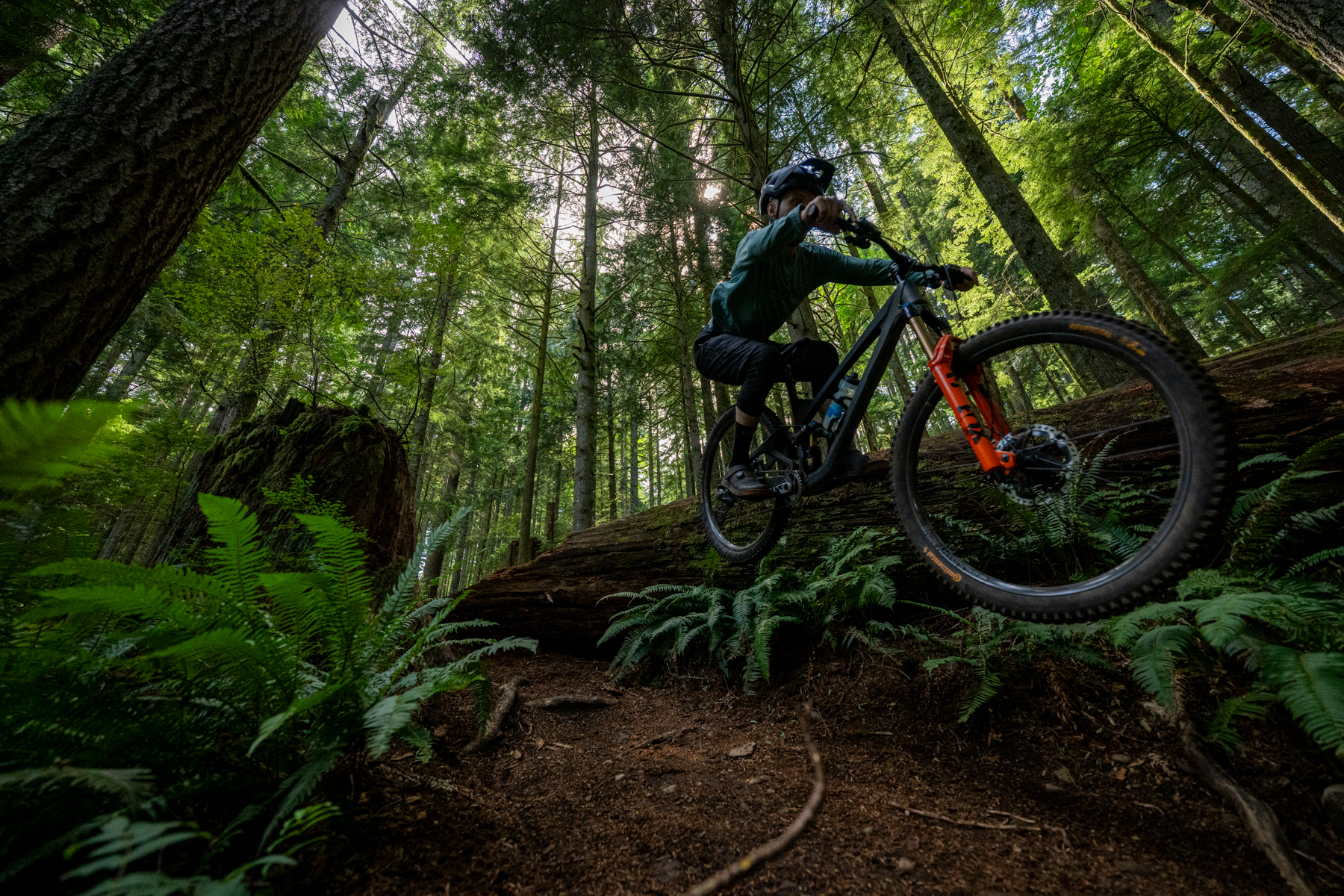 David Golay and Zack Henderson review the Fox 36 and 36 SL for Blister