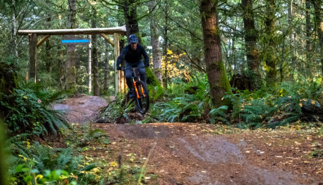 Zack Henderson reviews the Fox 34 SL for BLISTER