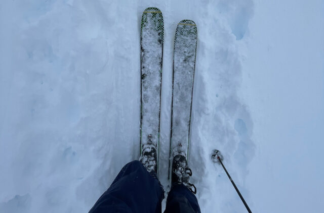 BLISTER Ski Reviews