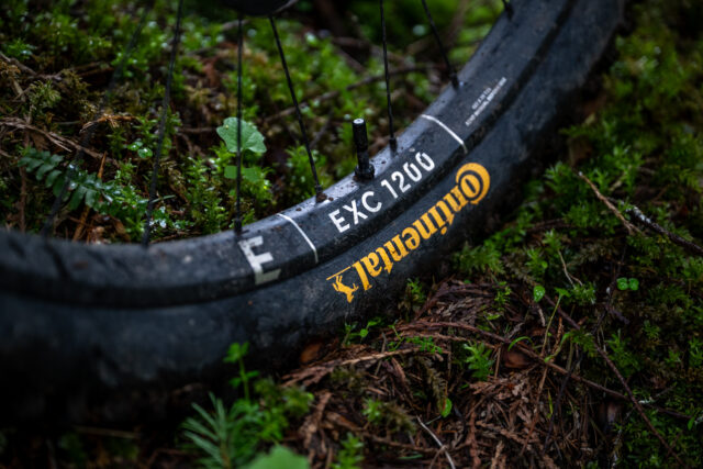 David Golay reviews the DT Swiss EXC 1200 Classic wheels for Blister