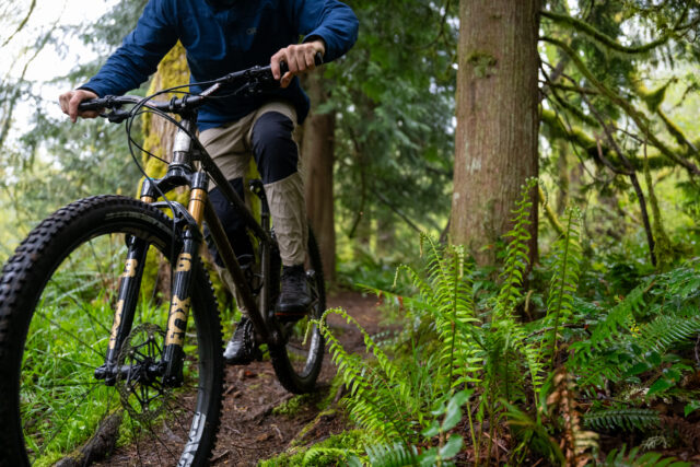 David Golay reviews the Fox 36 SL for Blister
