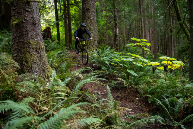 David Golay reviews the Pivot Firebird V5 for Blister