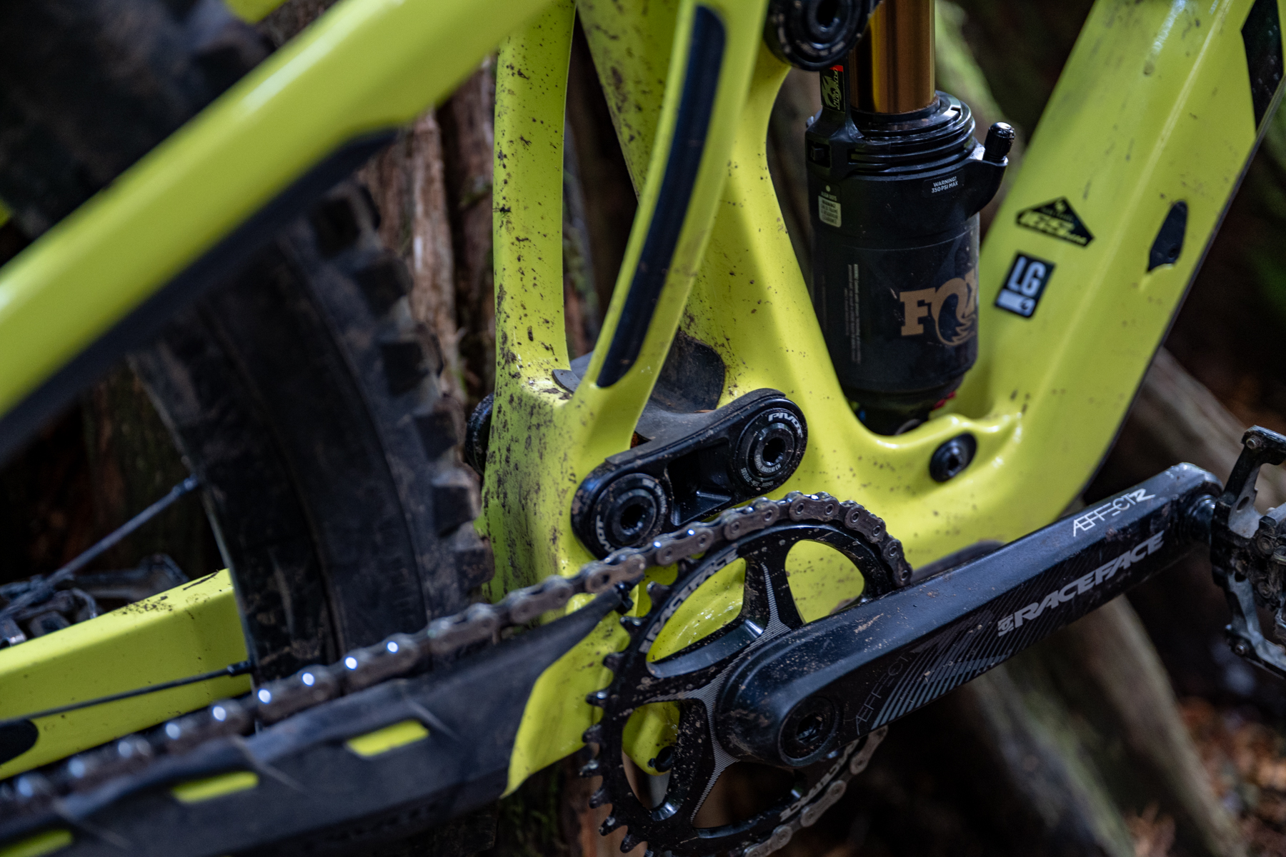 David Golay reviews the Pivot Firebird V5 for Blister