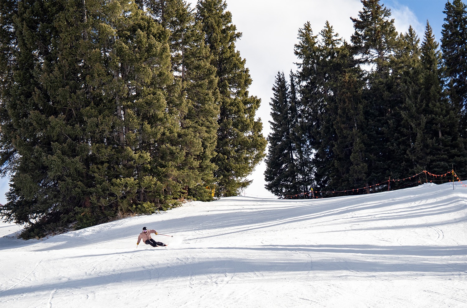 2025-2026 Faction Dancer 79