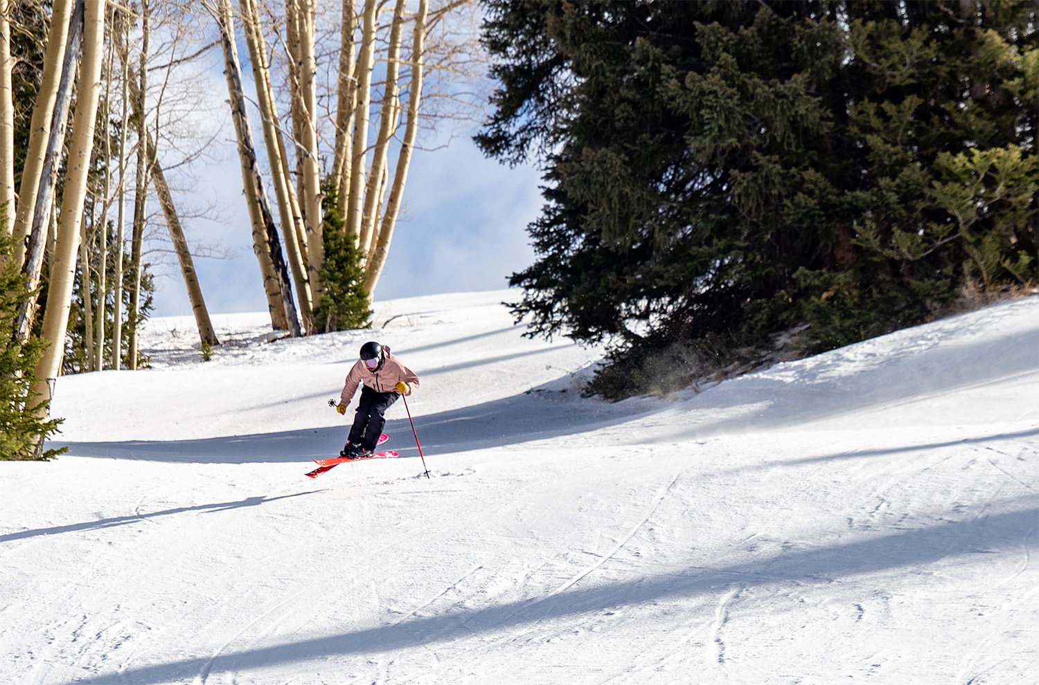 2025-2026 Faction Dancer 79