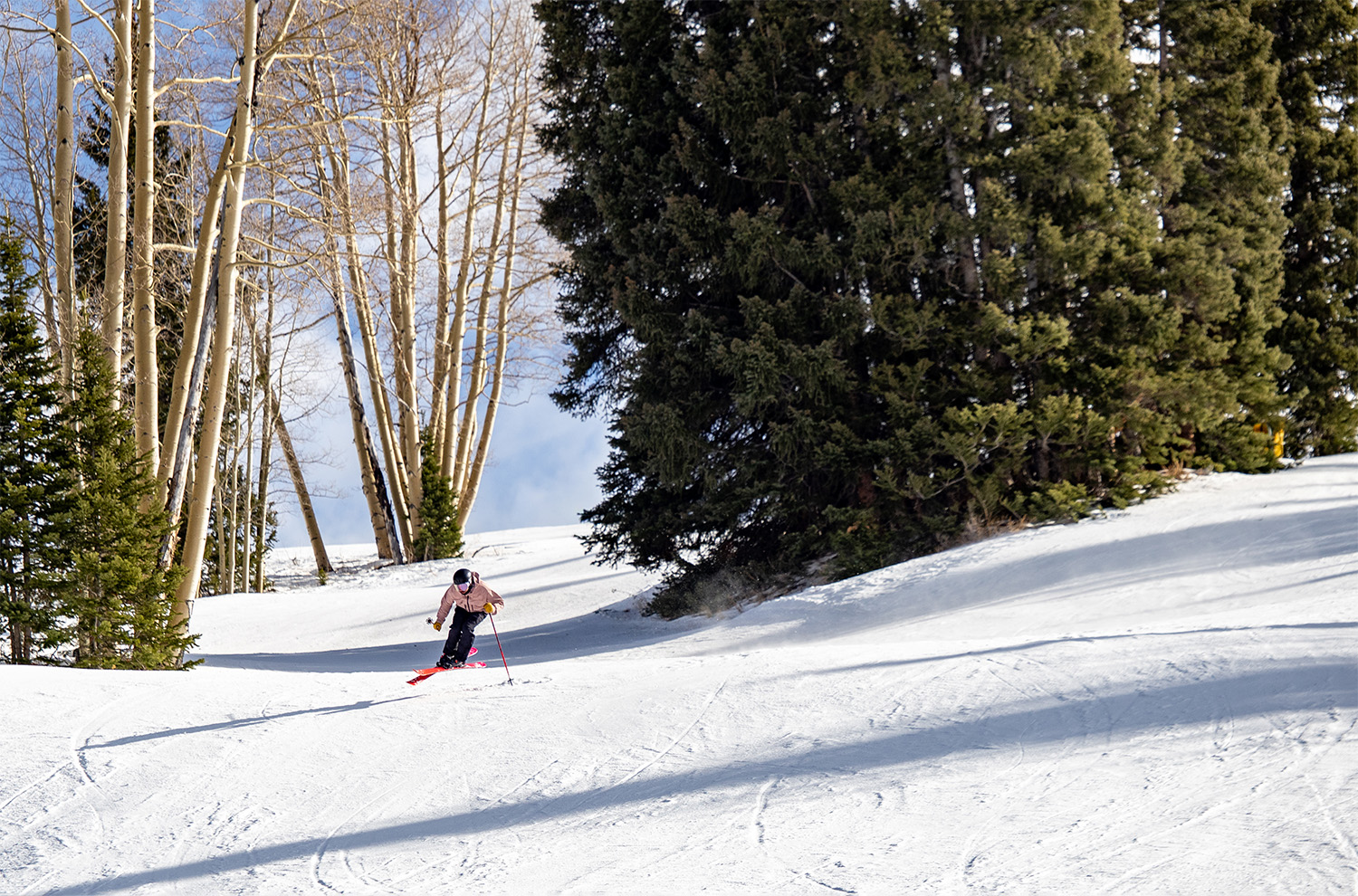 2025-2026 Faction Dancer 79