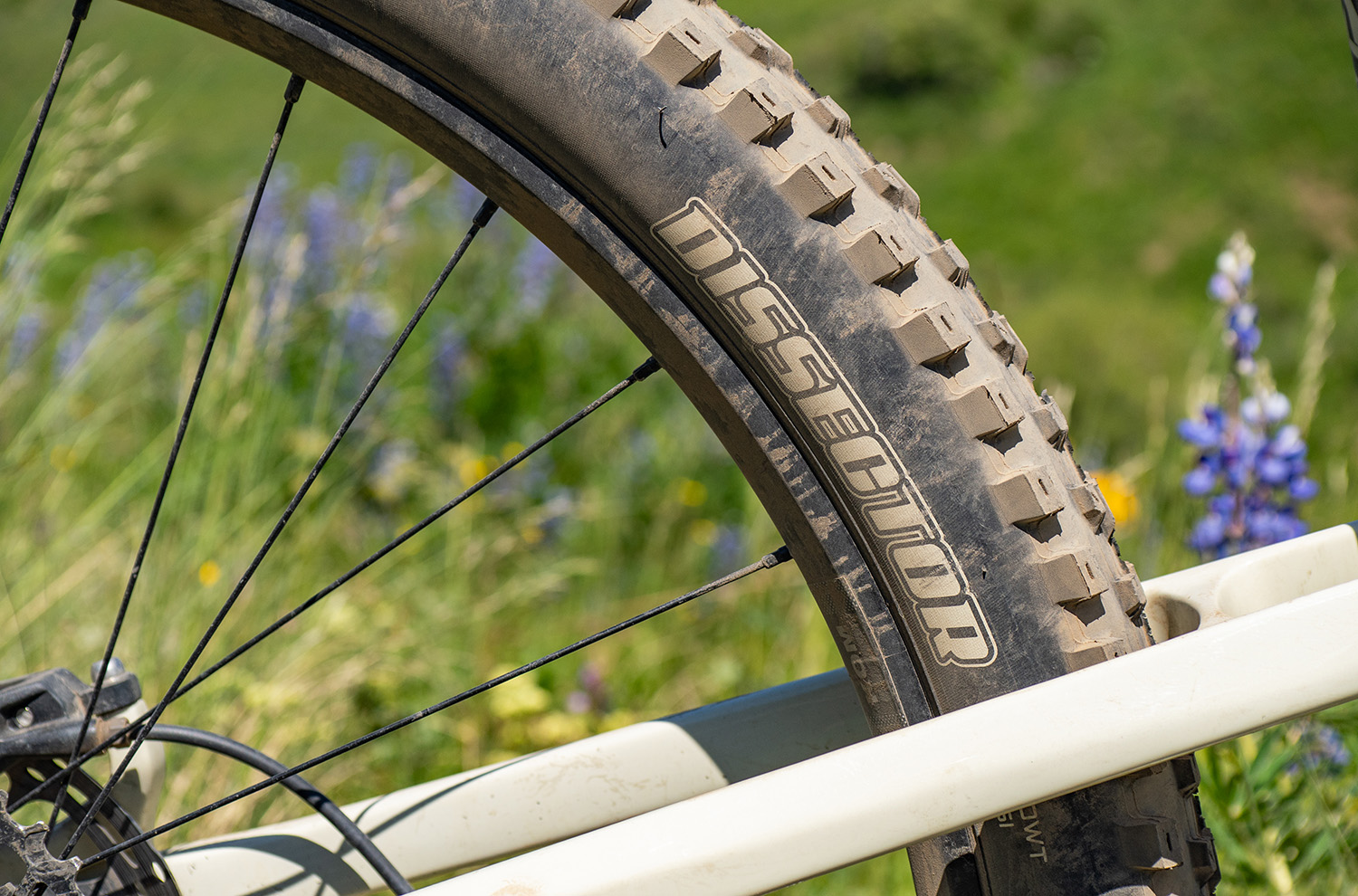 Kona Hei Hei 10 — Maxxis Dissector Tire